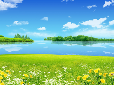 цветы, голубое небо, зелёные деревья, озеро, луг