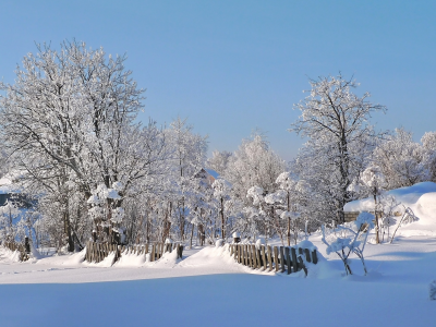 зима, село, улица, снег, утро
