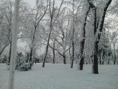 природа, зима, парк