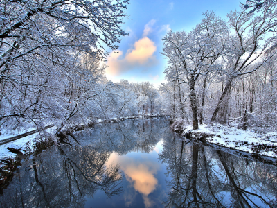 снег, лес, зима, река, отражение