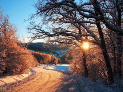 дорога, природа, зима, снег, деревья, лес, небо, солнце
