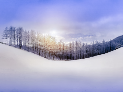 зима, природа, небо, холм, лес, снег