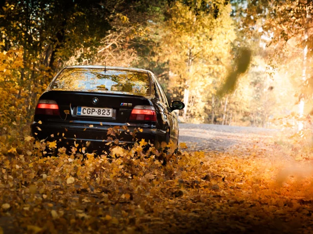 фары, оcень, black, m5, листья, e39, бмв, bmw