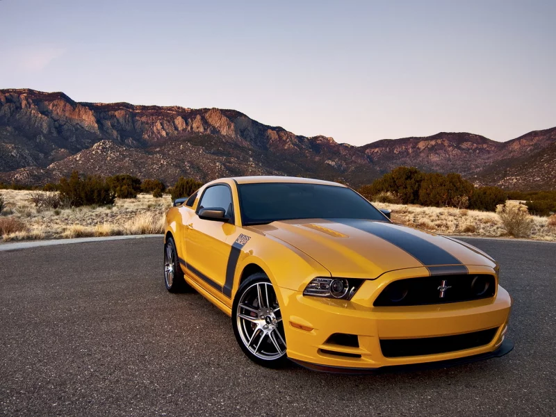 автообои, ford mustang, car, boss 302, форд