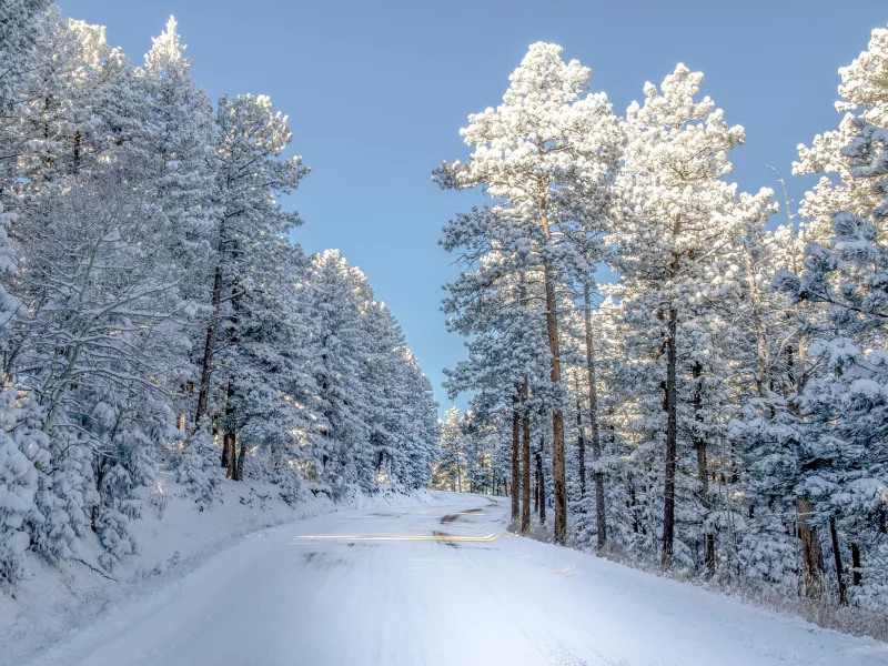 природа, дорога, свет, деревья, снег, зима, colorado