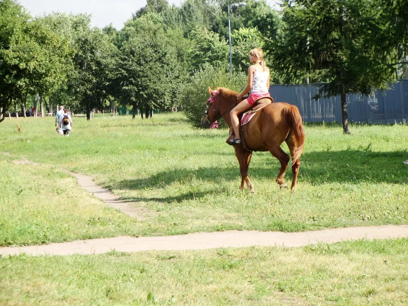 парк, лето, наездница