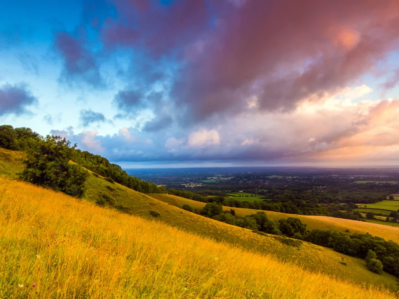 england, англия, great britain, саут даунс, south downs, plumpton