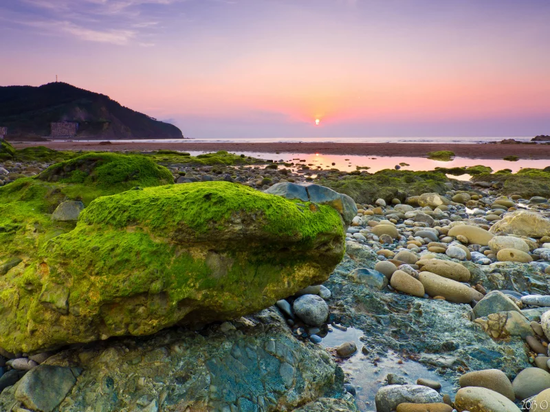 море, водоросли, камни, рассвет, утро, камень