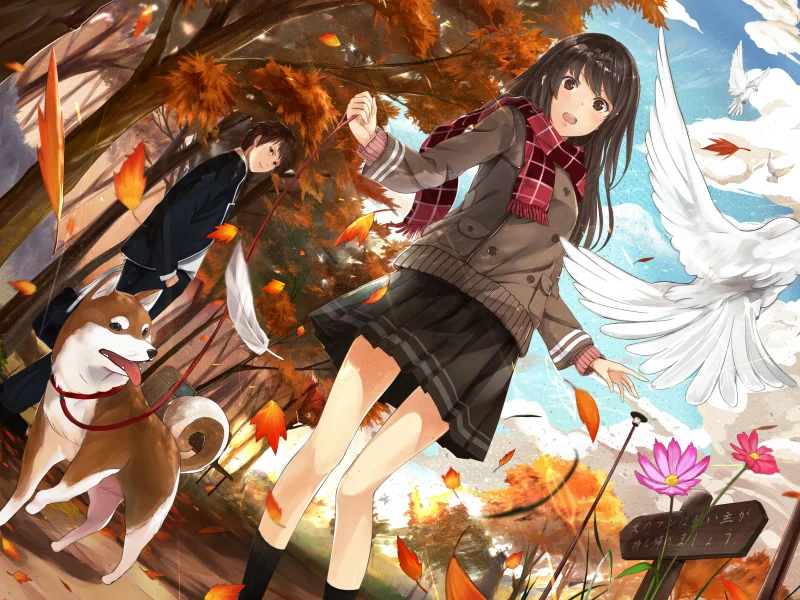 деревья, птицы, улыбка, цветы, kazabana fuuka, собака, девушка