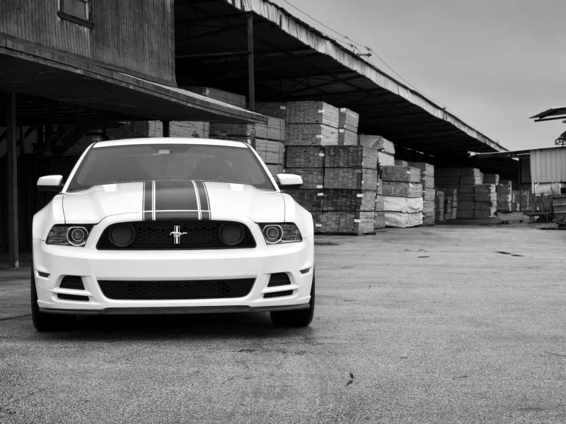 ford, босс 302, форд мустанг, белый, white, mustang, boss 302, передок