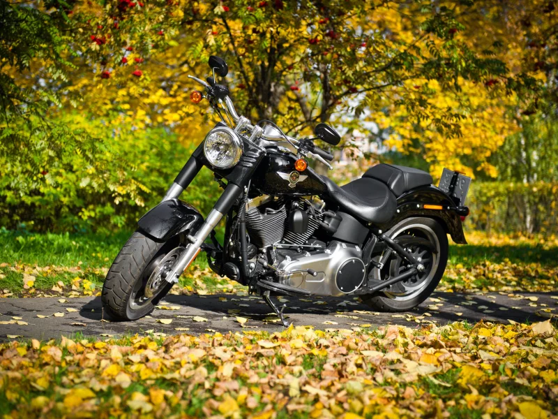 листья, листва, байк, лес, природа, осень, harley-davidson
