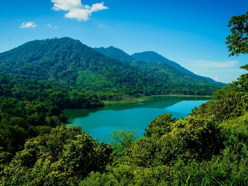 bali, indonesia, горы, лес, индонезия, бали, озеро