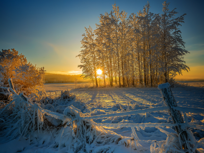 зима, снег, утро, покосившийся забор, деревья, солнце, восход