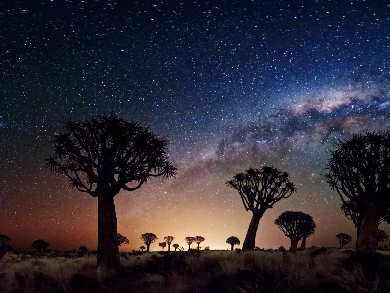 night, stars, joshua tree