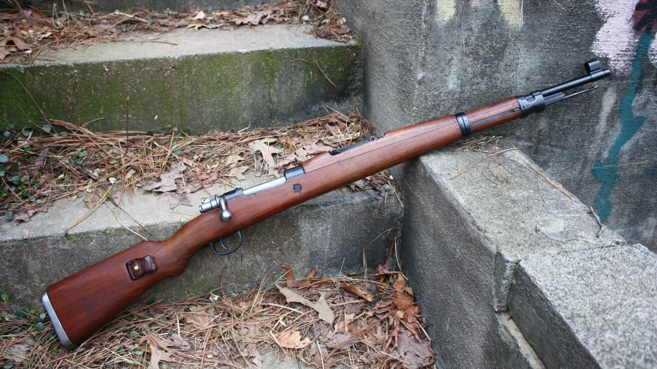 винтовка, m48 mauser, rifle, листья