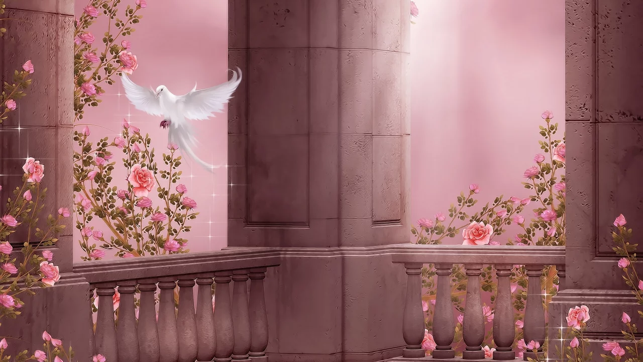 dove, pigeon, roses, rose garden, columns, колонны, розовый сад, flowers