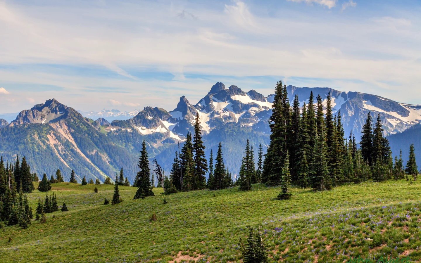 утро, mount rainier national park, сша, вашингтон, ели, горы