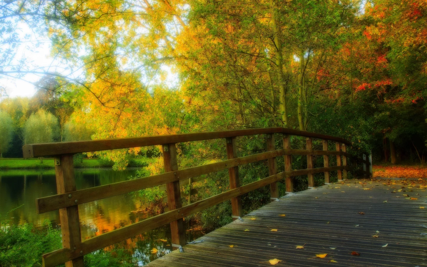 view, walk, hdr, forest, alley, park, nature, river, leaves, bridge, autumn, trees, water, fall