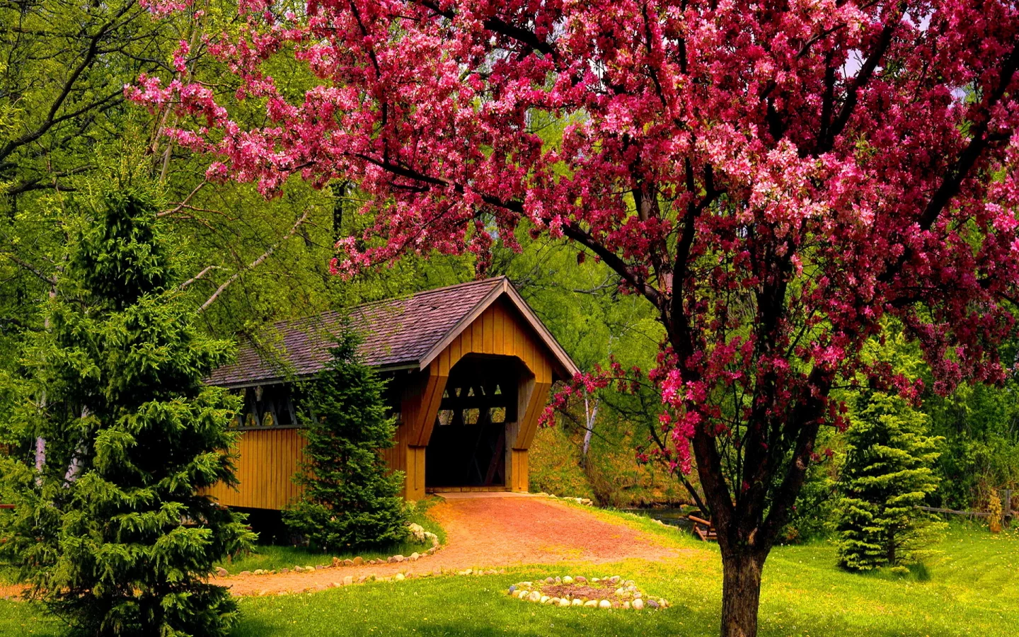 forest, bridge, tree, patch