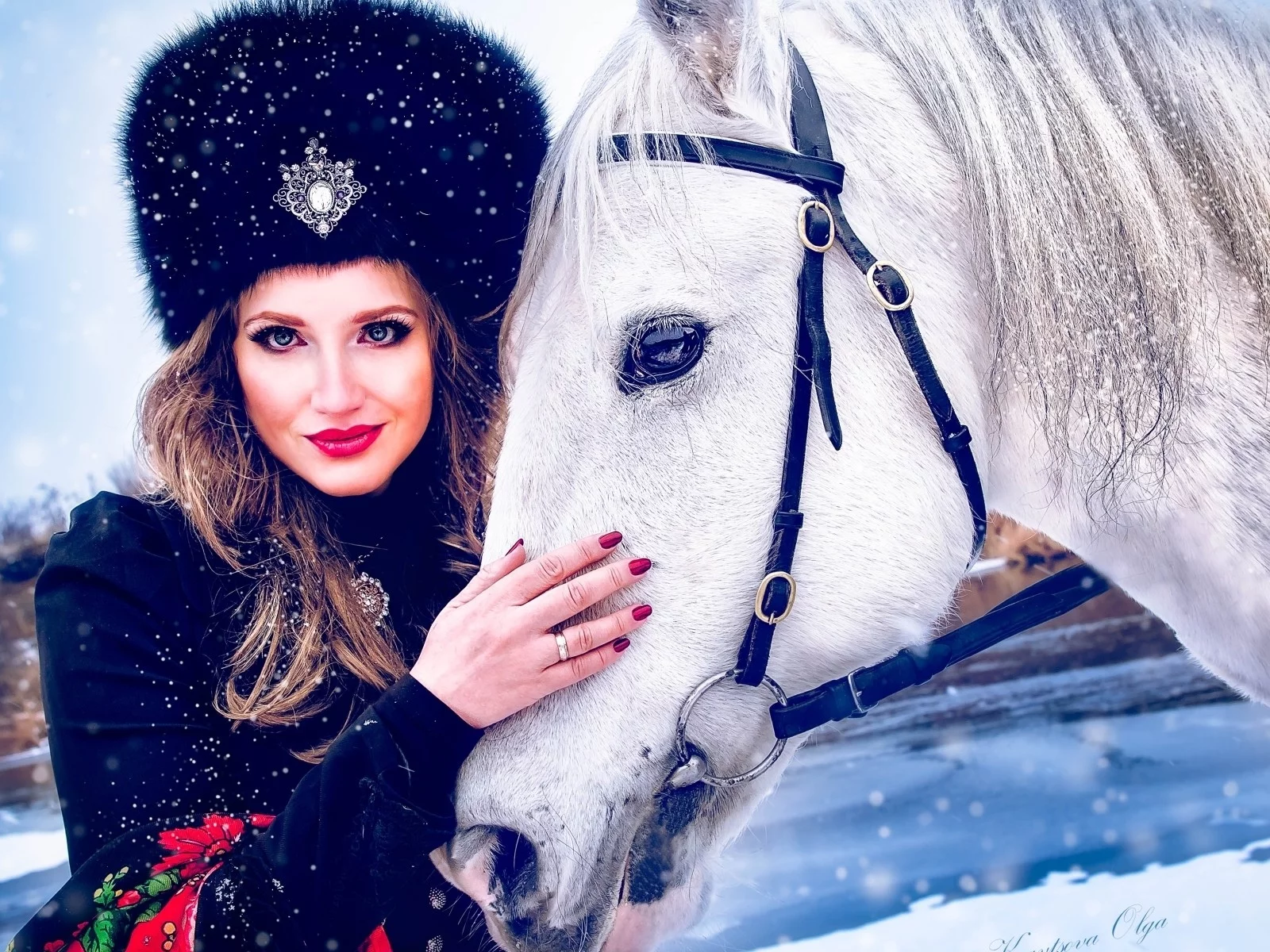 лошадь, девушка