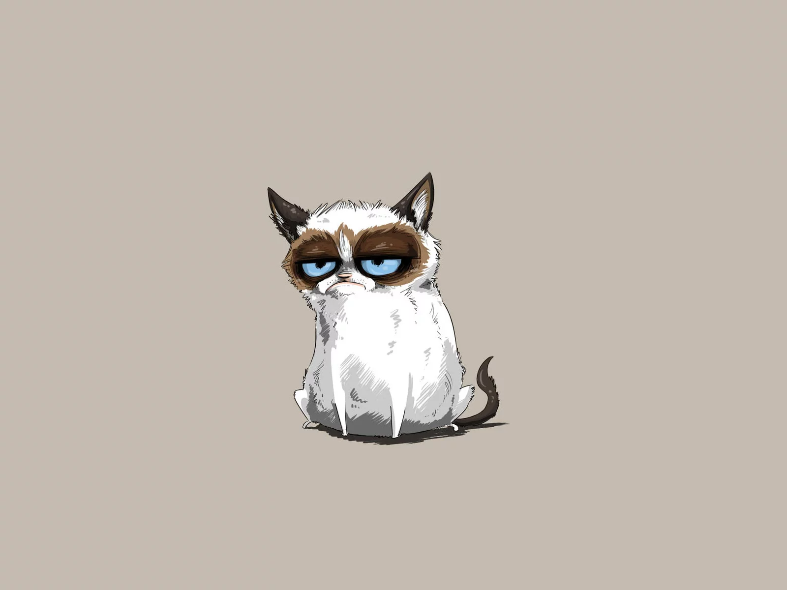 tardar sauce, сердитый котик, grumpy cat, соус тардар, кот, кошка