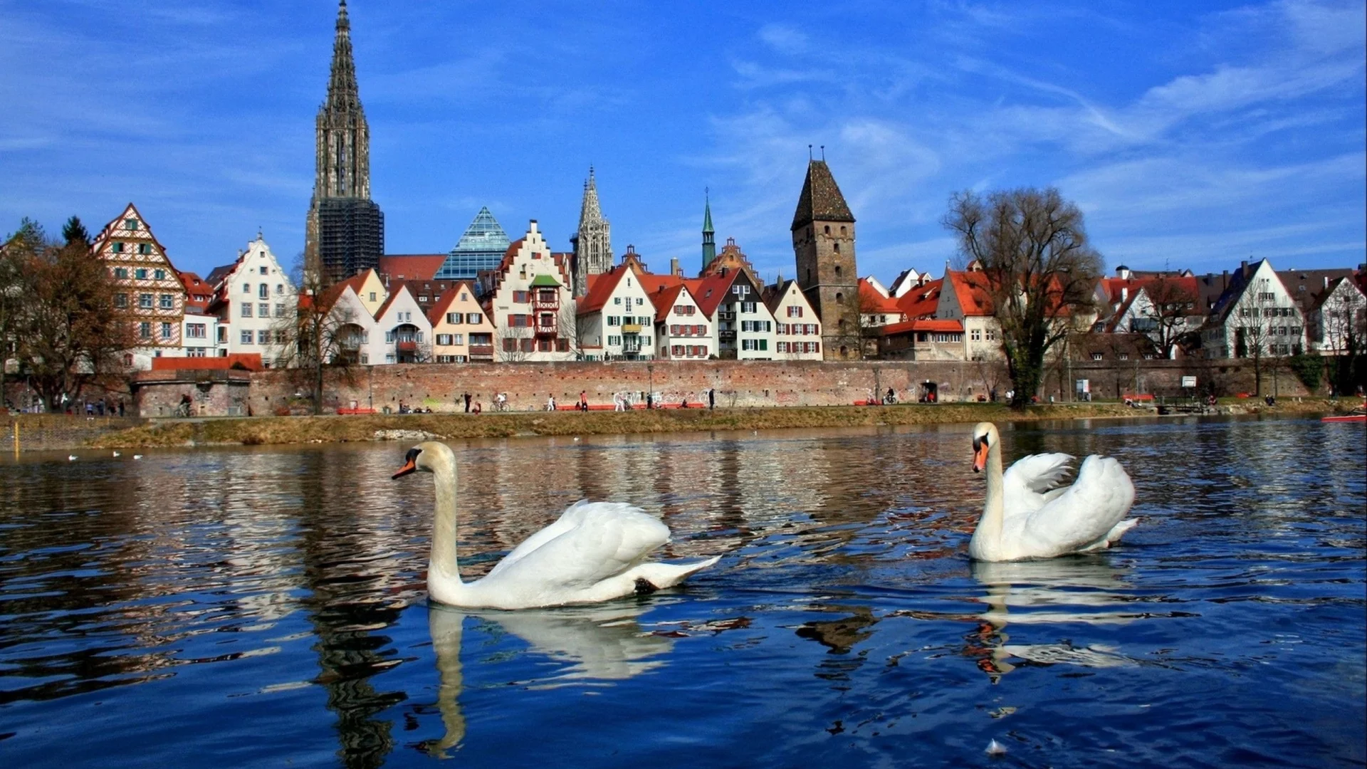 бавария, город, река, лебеди
