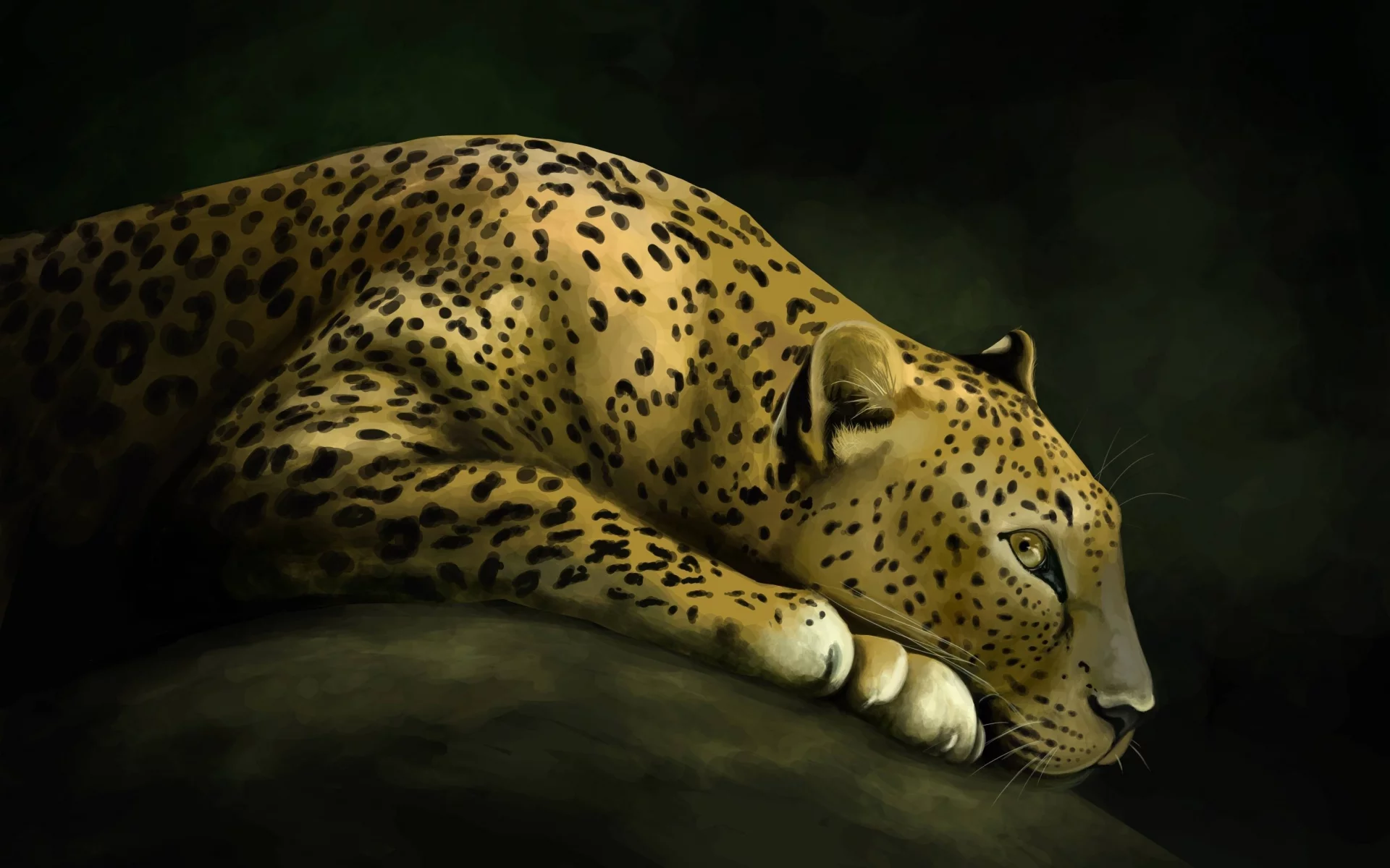 рисунок, леопард