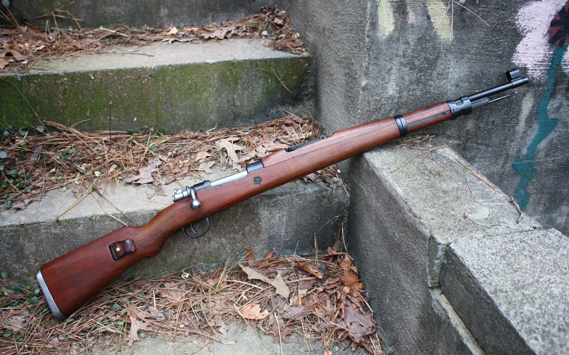 винтовка, m48 mauser, rifle, листья