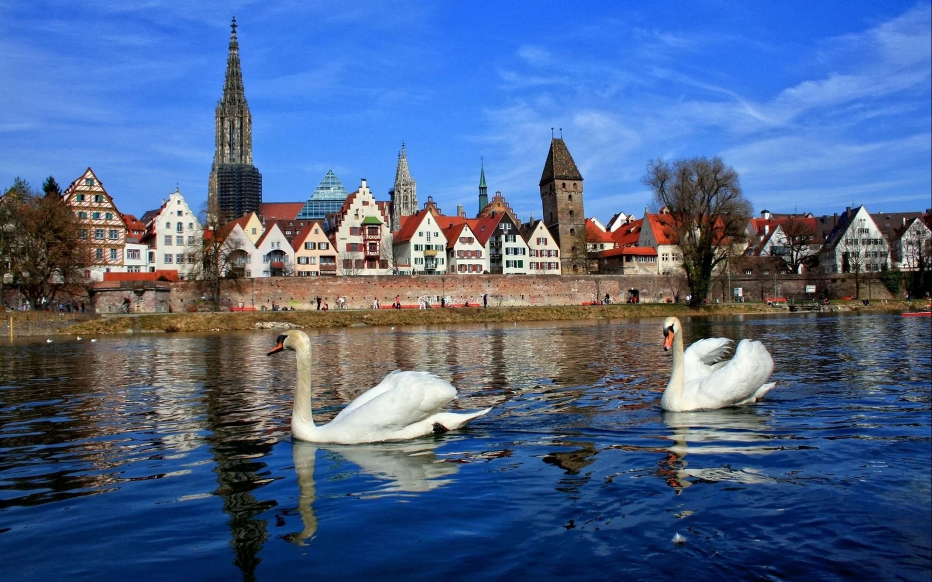 бавария, город, река, лебеди