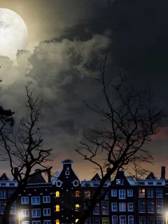 full, moon, magical night, city buildings, trees, sky, clouds, landscape, полный, луна, волшебная ночь, городские здания, деревья, небо, облака, пейзаж