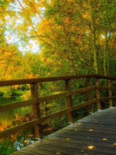 view, walk, hdr, forest, alley, park, nature, river, leaves, bridge, autumn, trees, water, fall