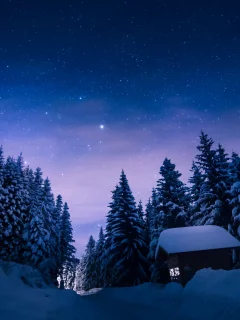 ночь, зима, пейзаж