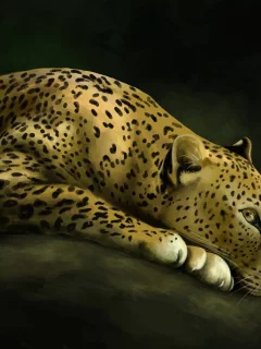 рисунок, леопард