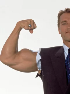 губернатор, arnold schwarzenegger, арнольд шварценеггер, актер
