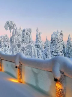 winter, trees, snow, path, mountain, moon, cabin