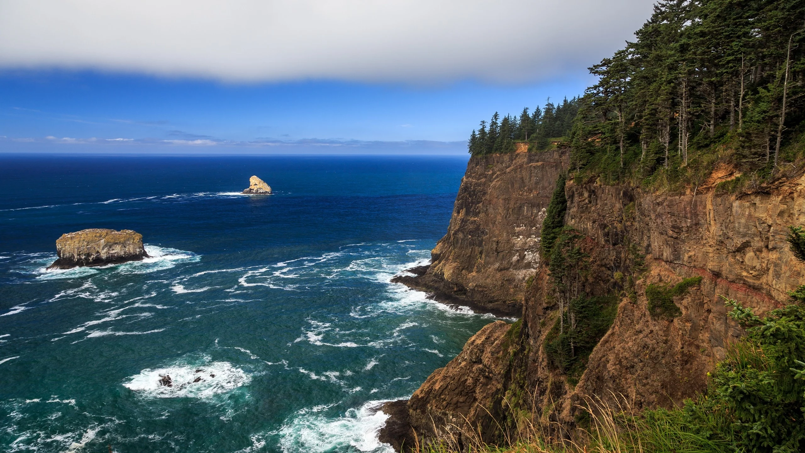 Oregon Coast, побережье, пляж, лес, океан, скалы