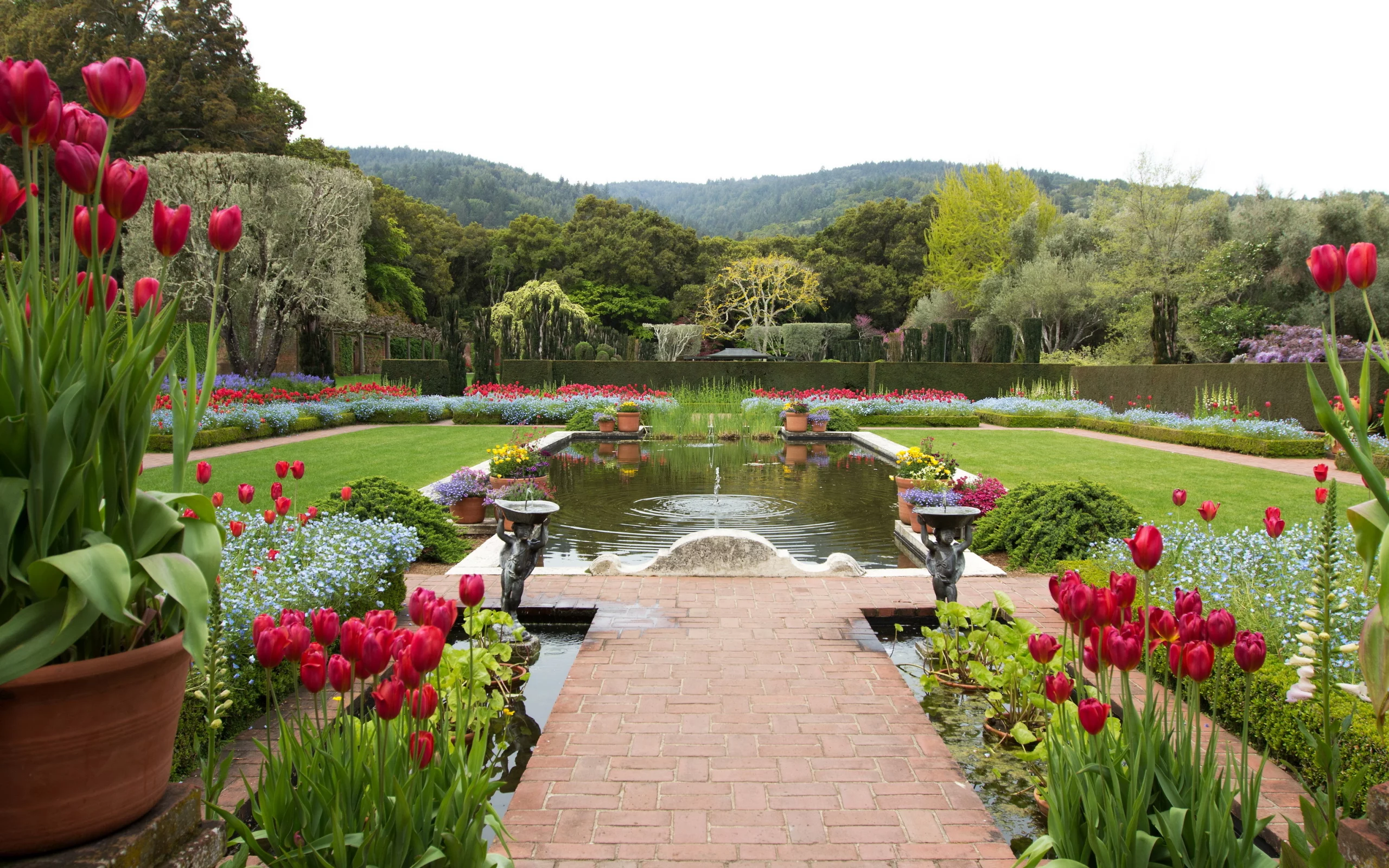 filoli, ландшафт, сша, тюльпаны, пруд, калифорния, сад