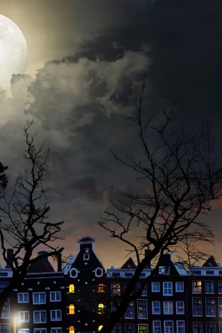 full, moon, magical night, city buildings, trees, sky, clouds, landscape, полный, луна, волшебная ночь, городские здания, деревья, небо, облака, пейзаж