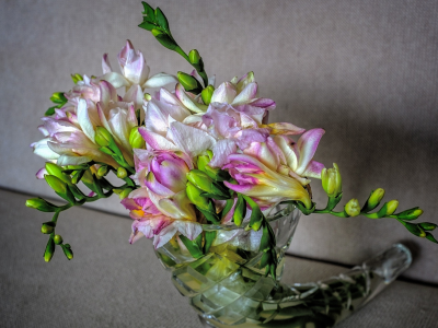 ваза, цветы, букет