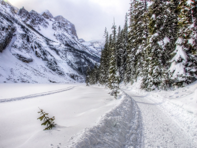 snow, зимний день, mountains, лес, landscape, дорога, winter, снег, горы