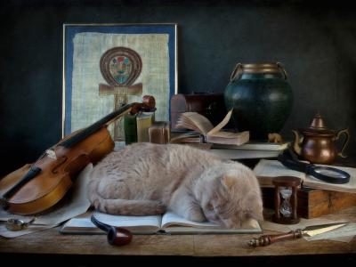 кошка, книга, сон, скрипка, трубка