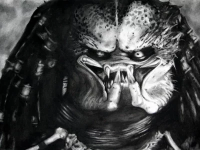рожа, хищник , черно-белое, predator, рисунок, монстр