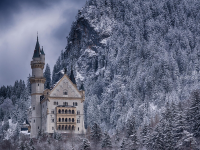 замок, лес, зима, снег