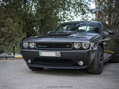 Dodge Challenger, almaty