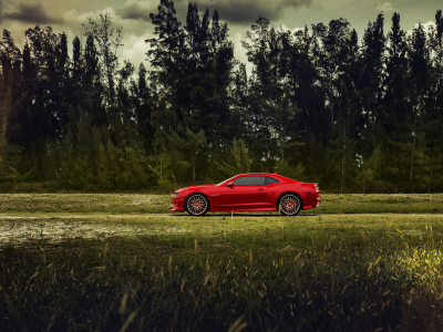 Chevrolet, Camaro, красный, суперкар, дорога, природа, деревья, пасмурно
