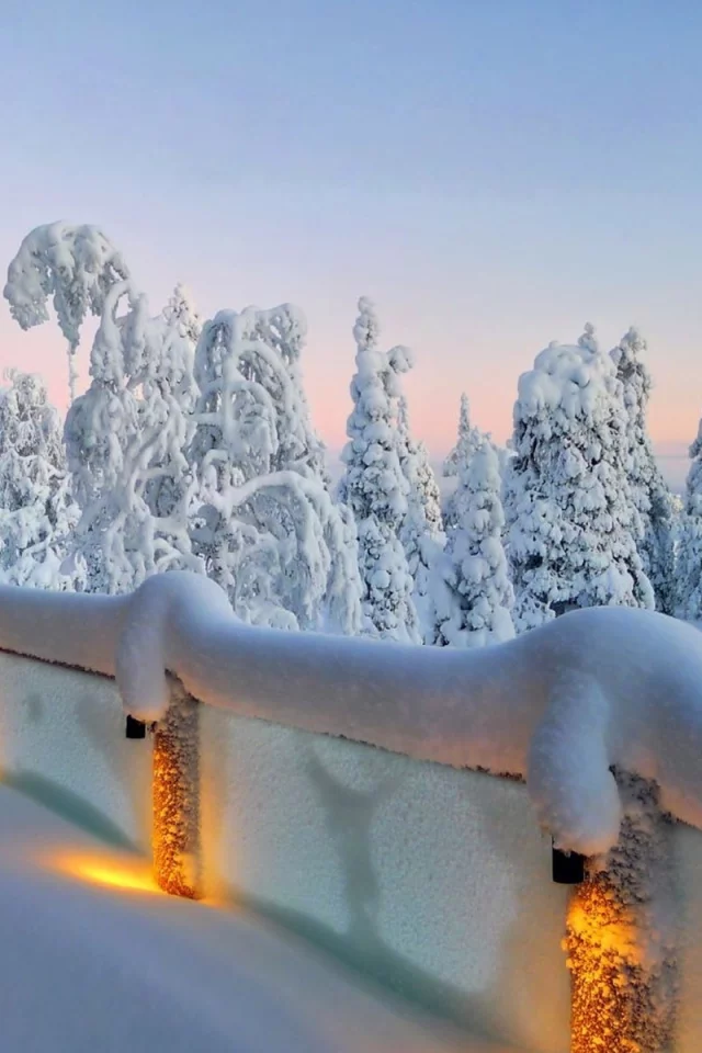 winter, trees, snow, path, mountain, moon, cabin