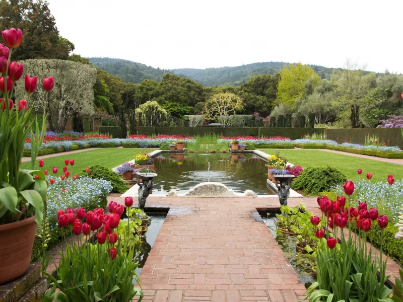 filoli, ландшафт, сша, тюльпаны, пруд, калифорния, сад