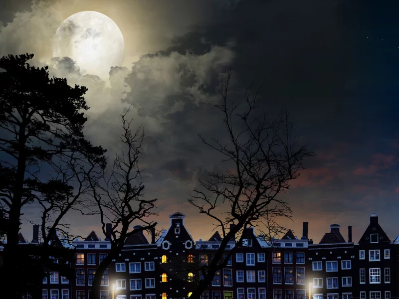 full, moon, magical night, city buildings, trees, sky, clouds, landscape, полный, луна, волшебная ночь, городские здания, деревья, небо, облака, пейзаж