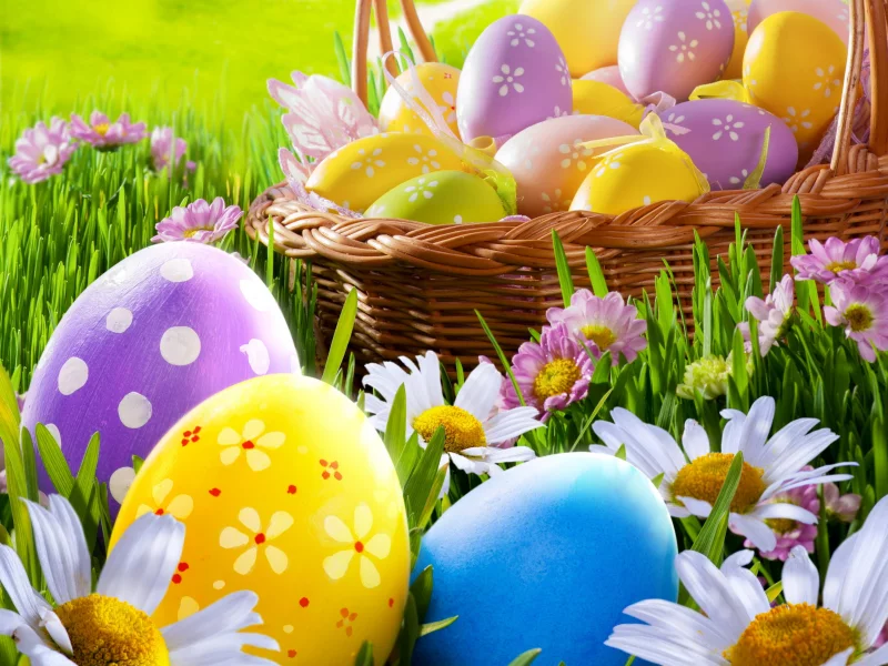 sunshine, easter, daisy, пасха, camomile, flowers, eggs, grass, весна, spring, meadow