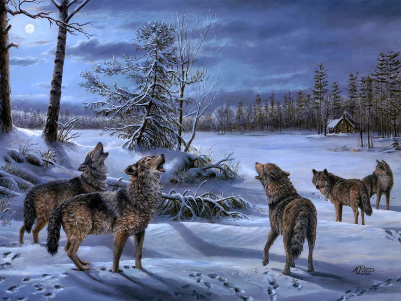 ночь, луна, стая, живопись, волк, mary pettis, moonlight chorus, волки